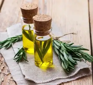 rosemary oil for hair growth 